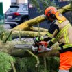 Unwetter: Sturmschäden bremsen Zugverkehr in Norddeutschland aus