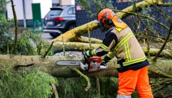 Unwetter: Sturmschäden bremsen Zugverkehr in Norddeutschland aus