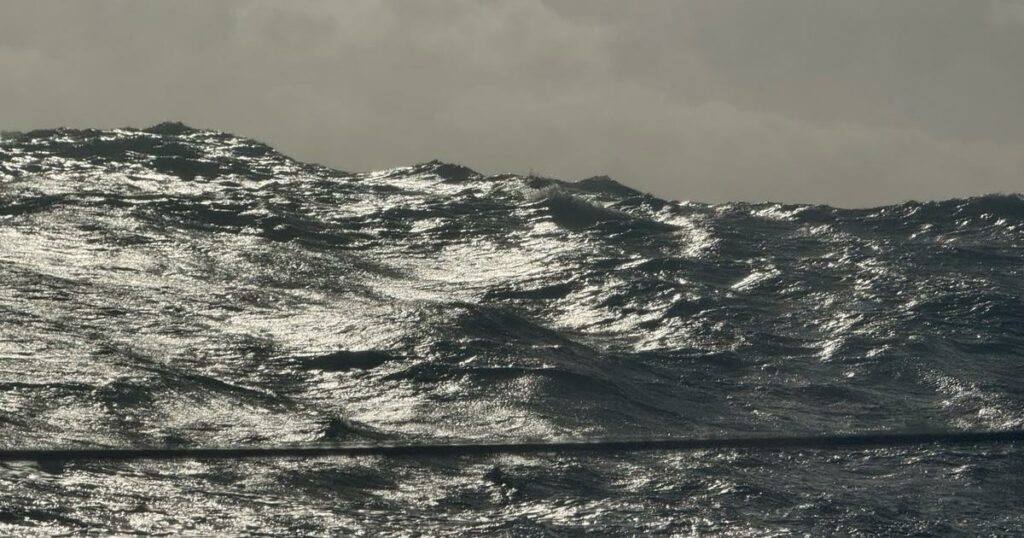 Vendée Globe : «Je suis terrifiée», l’angoisse de Violette Dorange à l’idée de passer le cap Horn avec des creux de sept mètres