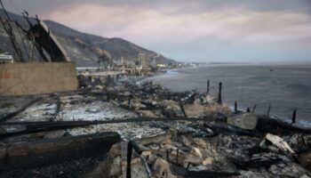 Vidéo. Incendies de Los Angeles : la solidarité s’organise pour aider les sinistrés