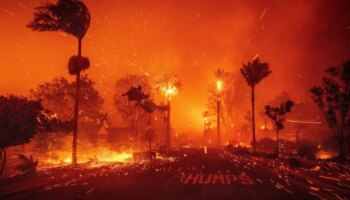 Waldbrände in Los Angeles: "Das Feuer war einfach zu übermächtig“