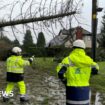 Way to go yet in Storm Éowyn clean-up - NI secretary