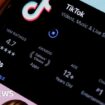 White House says TikTok warning it will go dark on Sunday is a 'stunt'