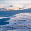 Why does Donald Trump want to buy Greenland?