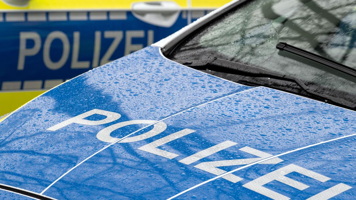 Die Polizei hat die Täter quer durch die Stadt verfolgt. (Symbolbild) Foto: Soeren Stache/dpa