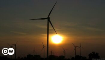 Wind and solar power drive Germany's renewable energy surge