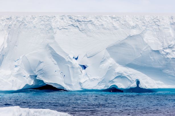 World's biggest iceberg is on collision course with British island