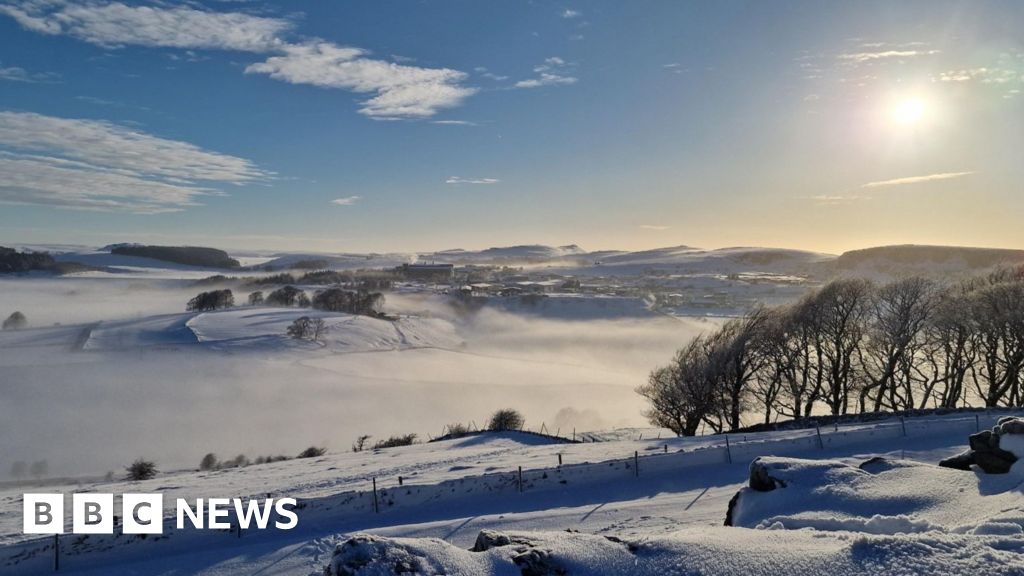 Your best pictures as snow and frost envelope the UK