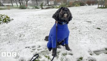 Your pictures of Sunday snow across UK