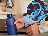 You've been cleaning your water bottle all wrong! Scientists reveal common mistake that leaves the container dirtier than your toilet seat