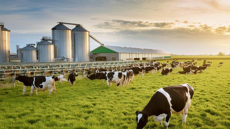 Networking and Collaboration: Building Connections in the Dairy industry