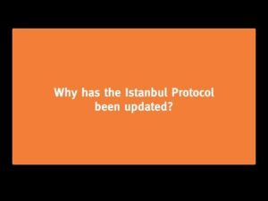 Fact Sheet: Istanbul Protocol Draft Document of April 15, 2022 – Institute for the Study of War