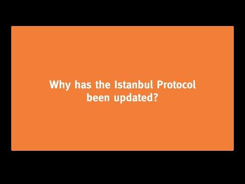 Fact Sheet: Istanbul Protocol Draft Document of April 15, 2022 – Institute for the Study of War