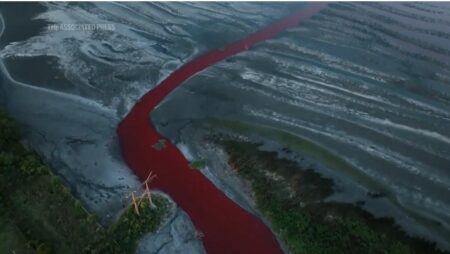 Argentina canal on outskirts of Buenos Aires turns bright red – BBC.com