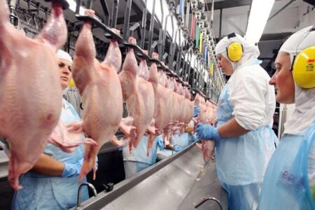 Brazil’s chicken exports outpacing forecasts – Valor International