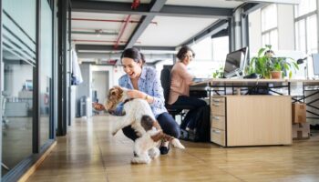 Animaux de compagnie au travail : maître ou collègue, racontez-nous vos meilleures et vos pires histoires