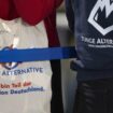 AfD-Jugendorganisation: Junge Alternative löst sich auf