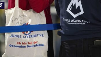 AfD-Jugendorganisation: Junge Alternative löst sich auf