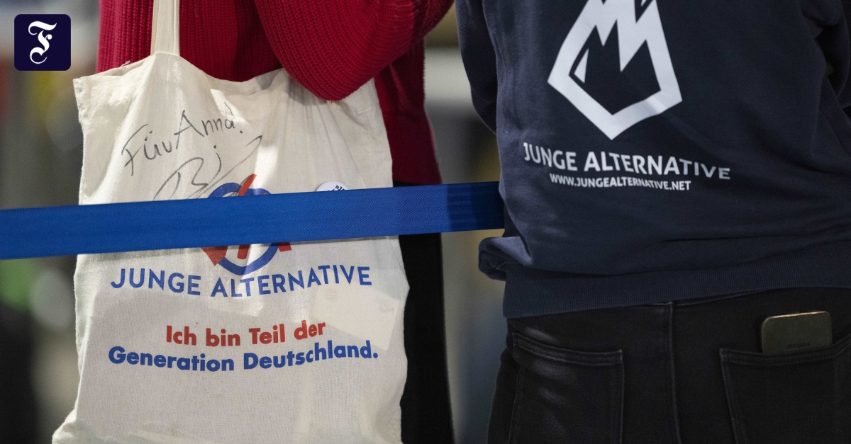 AfD-Jugendorganisation: Junge Alternative löst sich auf