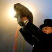 Groundhog Day 2025: Five things you didn’t know about the February tradition