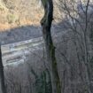 Éboulement sur la RN 90 en Savoie : la remise en état de la route va prendre "plusieurs semaines", estime le président de France Montagne