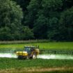 Sans réponse de l'Etat, des citoyens français exposés aux pesticides saisissent le tribunal administratif pour être indemnisés