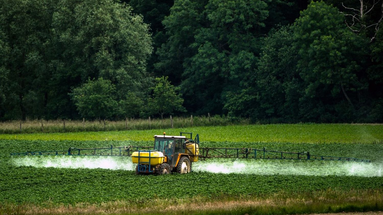 Sans réponse de l'Etat, des citoyens français exposés aux pesticides saisissent le tribunal administratif pour être indemnisés