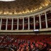 L'Assemblée nationale le 16 janvier 2025, à Paris