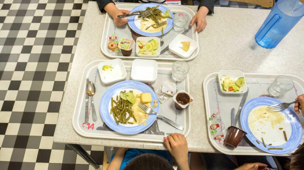 REPORTAGE. "Steak végétarien, boulettes de blé, émincé végétal…" : des menus sans viande, deux fois par semaine, dans les cantines scolaires de Lyon