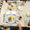 REPORTAGE. "Steak végétarien, boulettes de blé, émincé végétal…" : des menus sans viande, deux fois par semaine, dans les cantines scolaires de Lyon