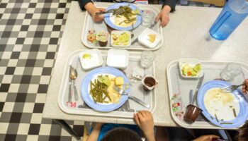 REPORTAGE. "Steak végétarien, boulettes de blé, émincé végétal…" : des menus sans viande, deux fois par semaine, dans les cantines scolaires de Lyon