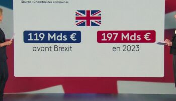 Brexit : cinq ans après, quels sont les effets sur l'économie et l'immigration ?