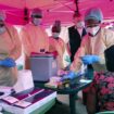 WHO: Test von Ebola-Impfstoff in Uganda gestartet