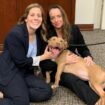 Prosecutors K.C. Pagnotta and Jessica K. Rock pose with one of the victims, named Baby Shark. Pic: Facebook/Paulding District Attorney's Office