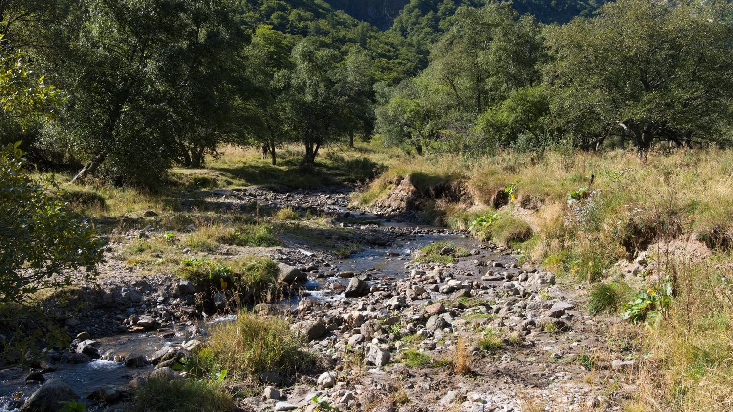 A cause de la pollution, les cours d'eau européens se trouvent dans un état sanitaire "critique"