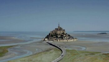 Normandie : un loup dans la baie du Mont-Saint-Michel