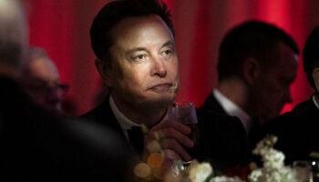 Elon Musk le liquidateur