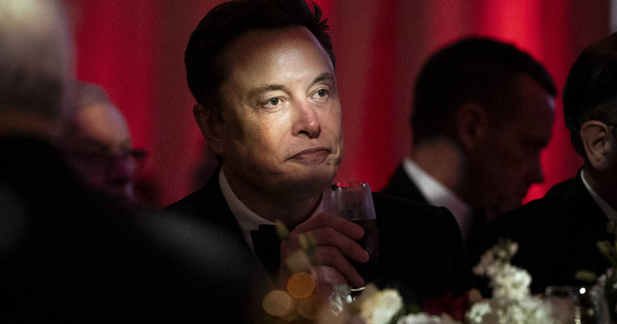 Elon Musk le liquidateur