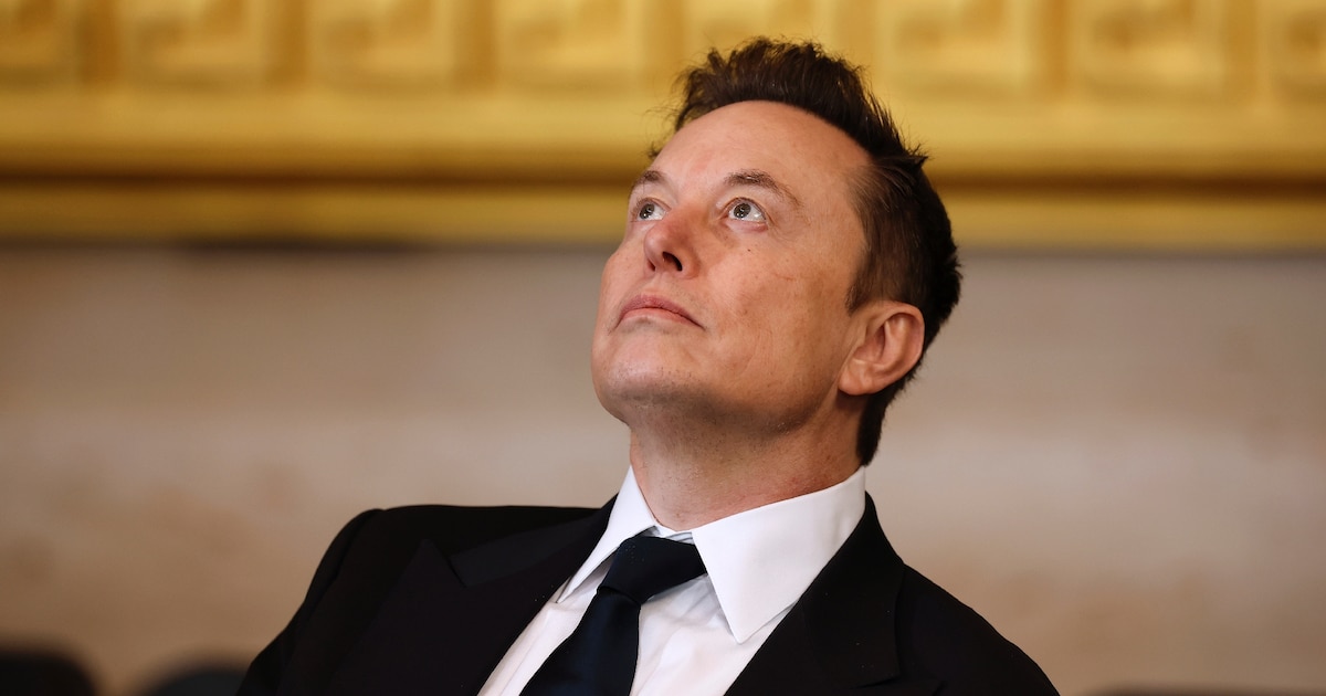 Elon Musk sous la rotonde du Capitole de Washigton, juste avant la cérémonie d'investiture de Donald Trump le 20 janvier 2025