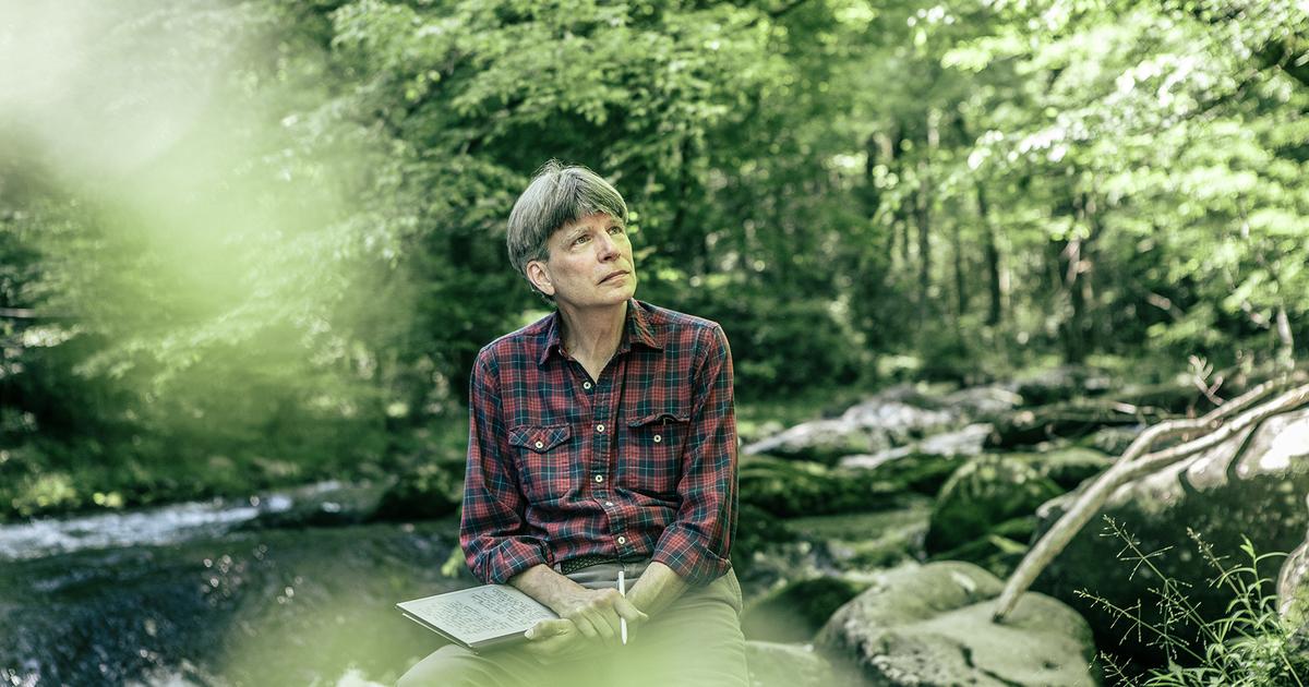 “Un jeu sans fin”, de Richard Powers : un roman dans le majestueux sillage des raies manta