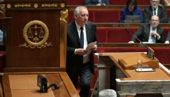 En direct, budget 2025 : entre votes et motions de censure, les prochaines étapes pour le gouvernement Bayrou à l’Assemblée nationale