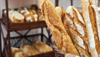 Baguette tradition, pain complet, ou sans gluten… Cet aliment incontournable de nos tables soulève de nombreuses questions nutritionnelles.