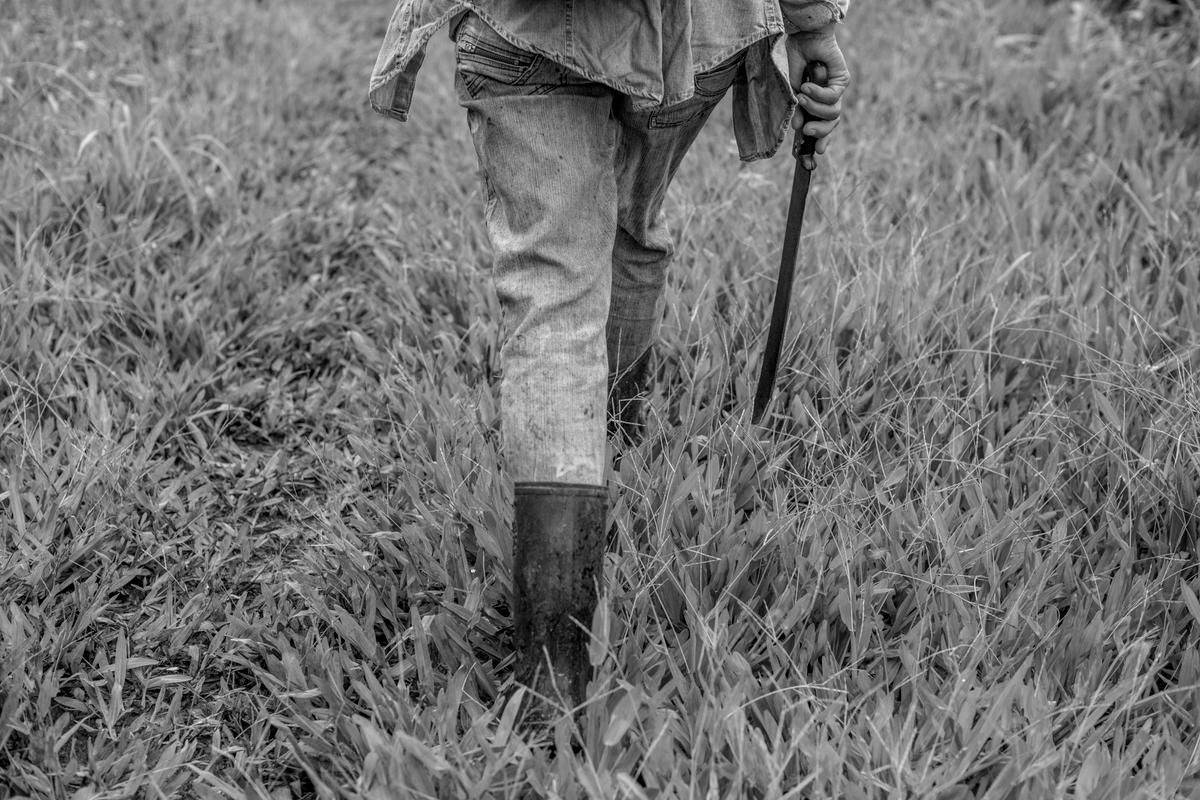 « Les Terres indomptées », par Lauren Groff : aux origines de l’Amérique prédatrice