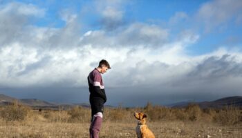 « Chien de la casse » : l’ennui des villages de province porté par un Raphaël Quenard exceptionnel