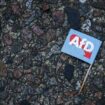 Bundestagswahl: Überlegen Sie zum ersten Mal, die AfD zu wählen?