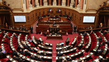 Budget 2025 : le projet de loi de finances est définitivement adopté, après un dernier vote au Sénat