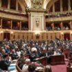 Le budget de l’Etat pour 2025 définitivement adopté au Parlement, après un dernier vote au Sénat