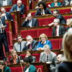 «Un délire qui banalise l’extrême droite» : une affiche insoumise qui figure une alliance entre le PS et le RN provoque l’indignation à gauche