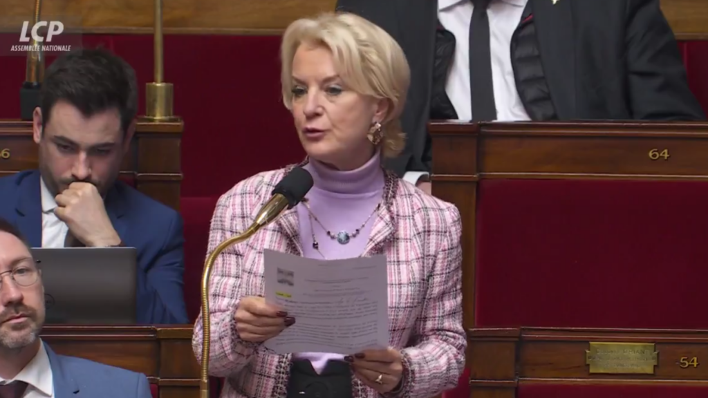 À l’Assemblée, la députée RN Robert-Dehault s’exprime sur le droit du sol à Mayotte et réussit à choquer les soutiens du texte