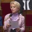 À l’Assemblée, la députée RN Robert-Dehault s’exprime sur le droit du sol à Mayotte et réussit à choquer les soutiens du texte